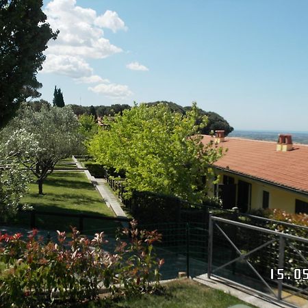 阿里恰Agriturismo La Vite E Gli Ulivi别墅 外观 照片