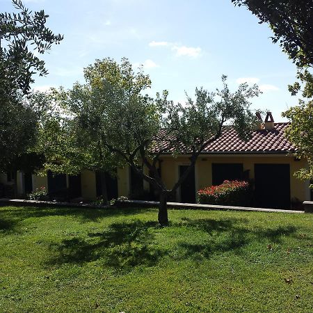 阿里恰Agriturismo La Vite E Gli Ulivi别墅 外观 照片