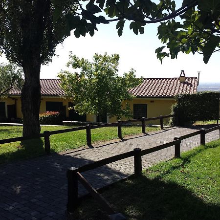阿里恰Agriturismo La Vite E Gli Ulivi别墅 外观 照片