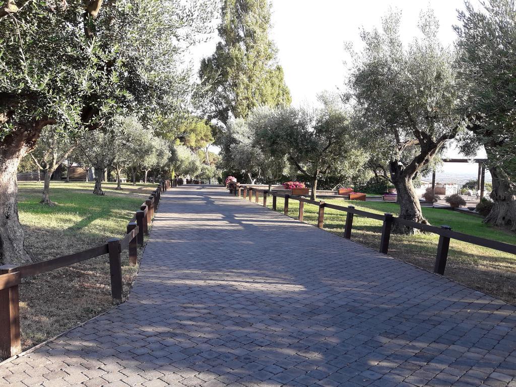 阿里恰Agriturismo La Vite E Gli Ulivi别墅 外观 照片