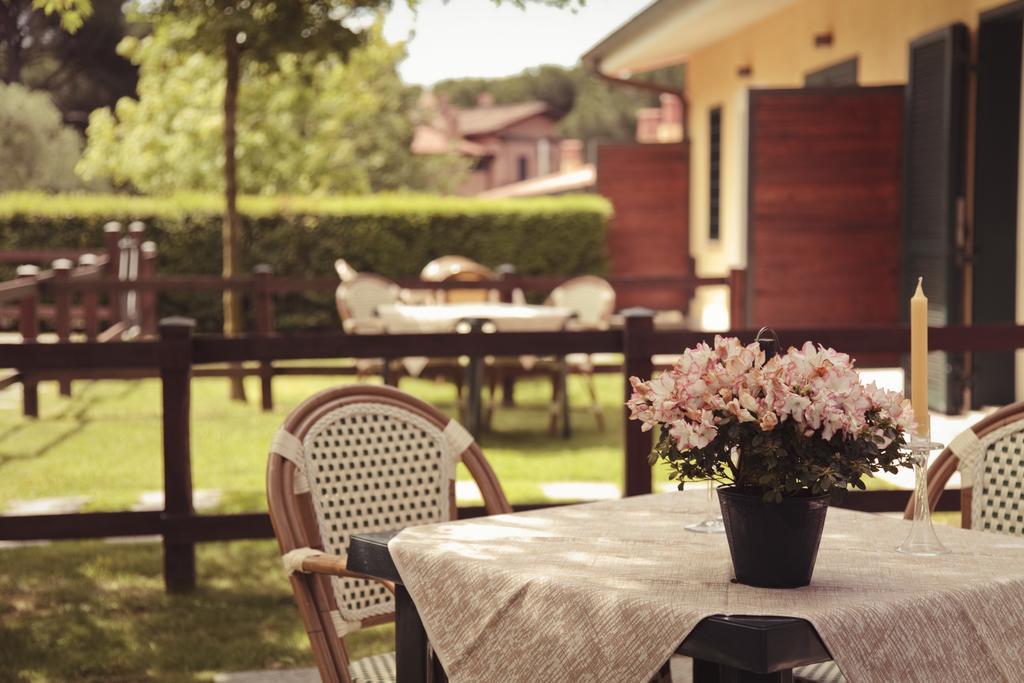 阿里恰Agriturismo La Vite E Gli Ulivi别墅 外观 照片