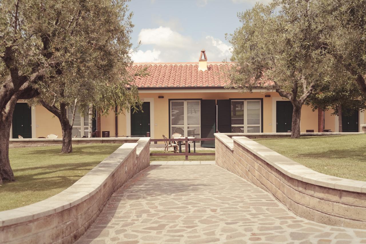 阿里恰Agriturismo La Vite E Gli Ulivi别墅 外观 照片