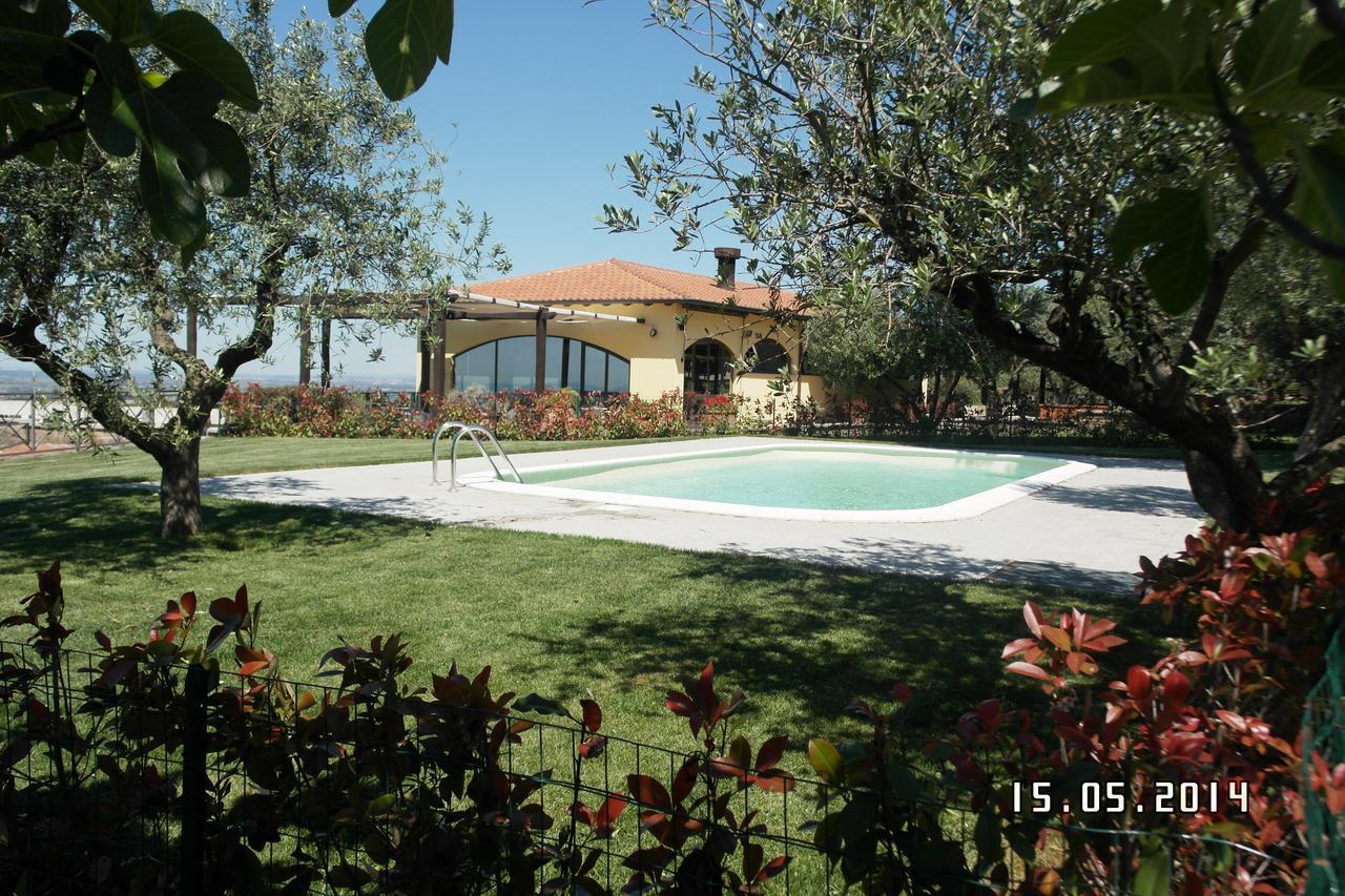 阿里恰Agriturismo La Vite E Gli Ulivi别墅 外观 照片