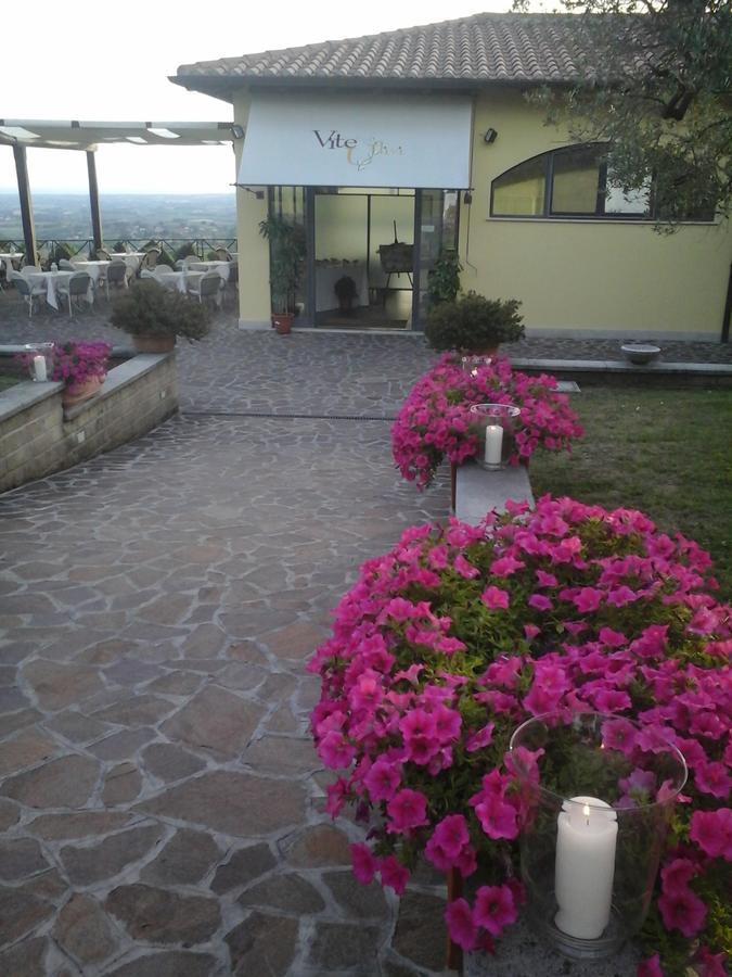 阿里恰Agriturismo La Vite E Gli Ulivi别墅 外观 照片