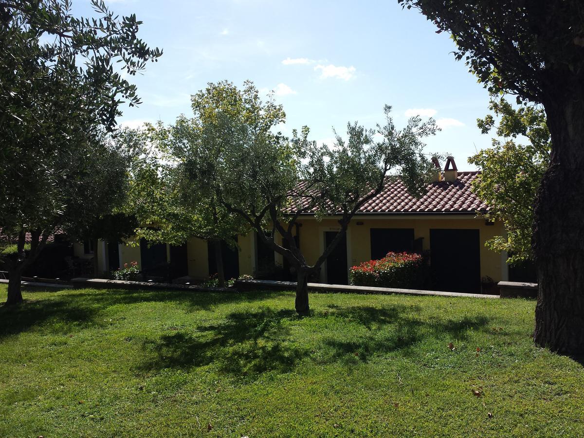 阿里恰Agriturismo La Vite E Gli Ulivi别墅 外观 照片