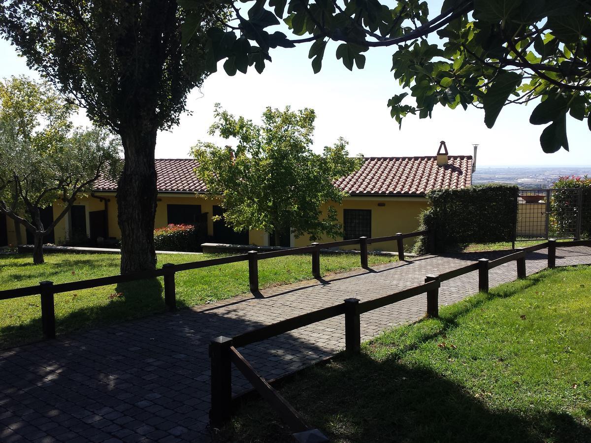 阿里恰Agriturismo La Vite E Gli Ulivi别墅 外观 照片